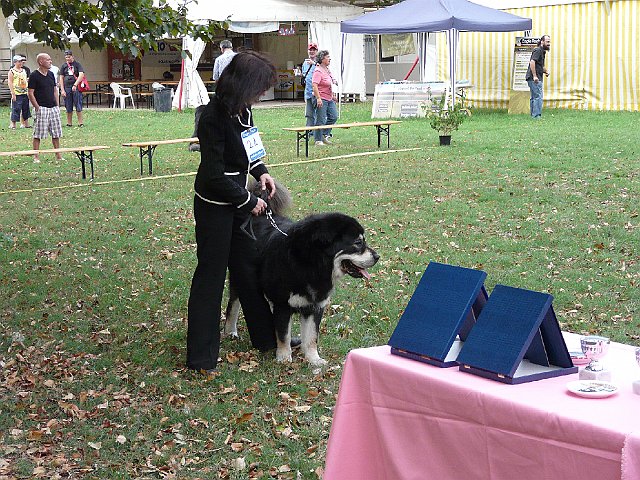 img 046.jpg
